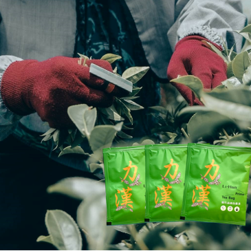 力漢高海拔精選烏龍茶包 袋裝 (50包入)